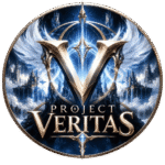 Project Veritas - Tutorial Game, Farming & MMORPG